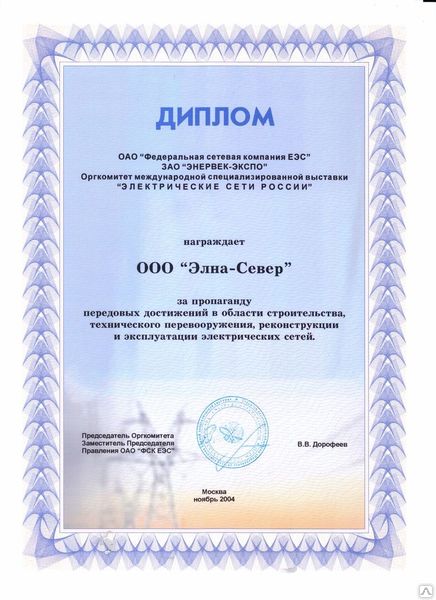 Диплом выставки Электрические сети России